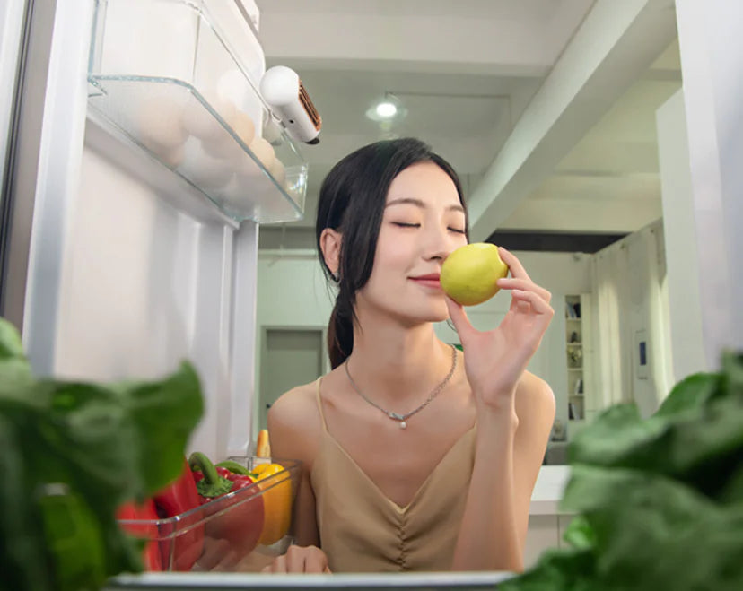 Fridge Odor Eliminator and Air Purifier W8