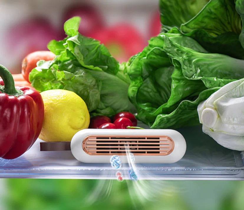 Fridge Odor Eliminator and Air Purifier W8