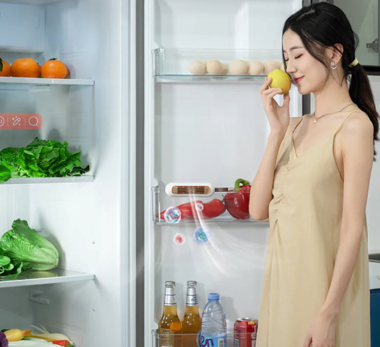 Fridge Odor Eliminator and Air Purifier W8